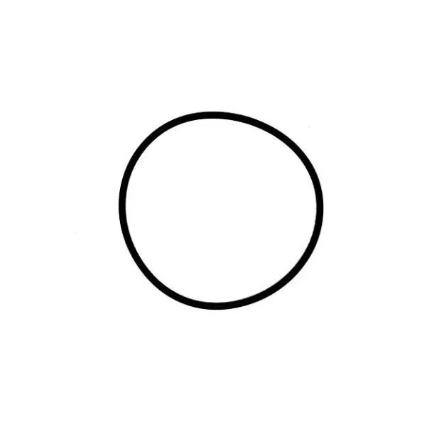 Picture of WATER PUMPS/PARTS:O-RING, B4J