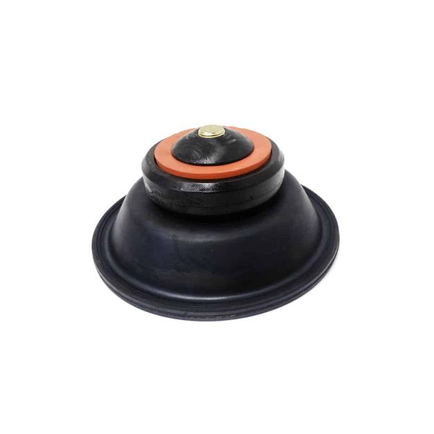Picture of SPRAY HEADS / INLINE VLV:TEE VLV DIAPH,KIT